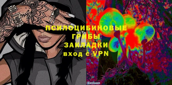 spice Дмитров