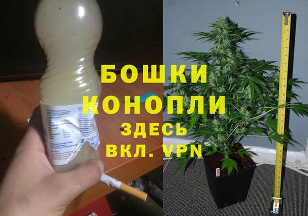 mdma Дмитриев