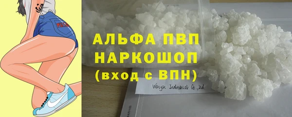 spice Дмитров