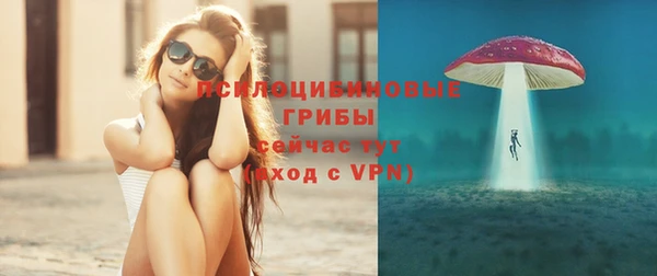 spice Дмитров