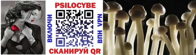 omg tor Полярный Галлюциногенные грибы прущие грибы